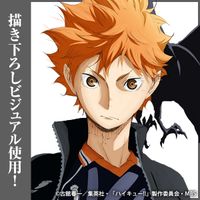 ハイキュー!!_日向翔陽 缶バッジ Ver.1.0 | ハイキュー!!公式グッズ