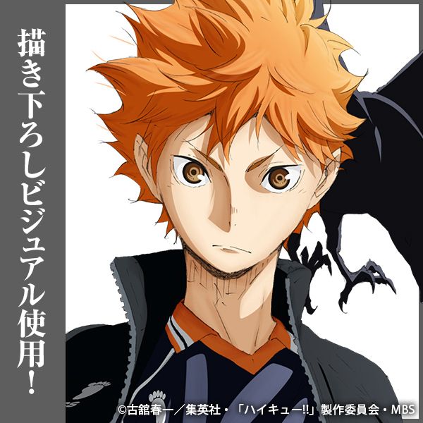 ハイキュー!!_日向翔陽 缶バッジ Ver.1.0 | ハイキュー!!公式グッズ