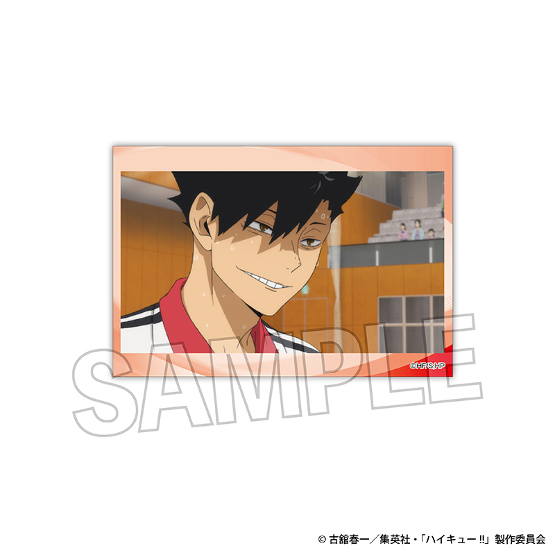 ハイキュー!!_スタパネ ミニ vol.5　20