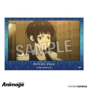 극장판 PSYCHO-PASS 사이코패스 PROVIDENCE_스택 블록 14