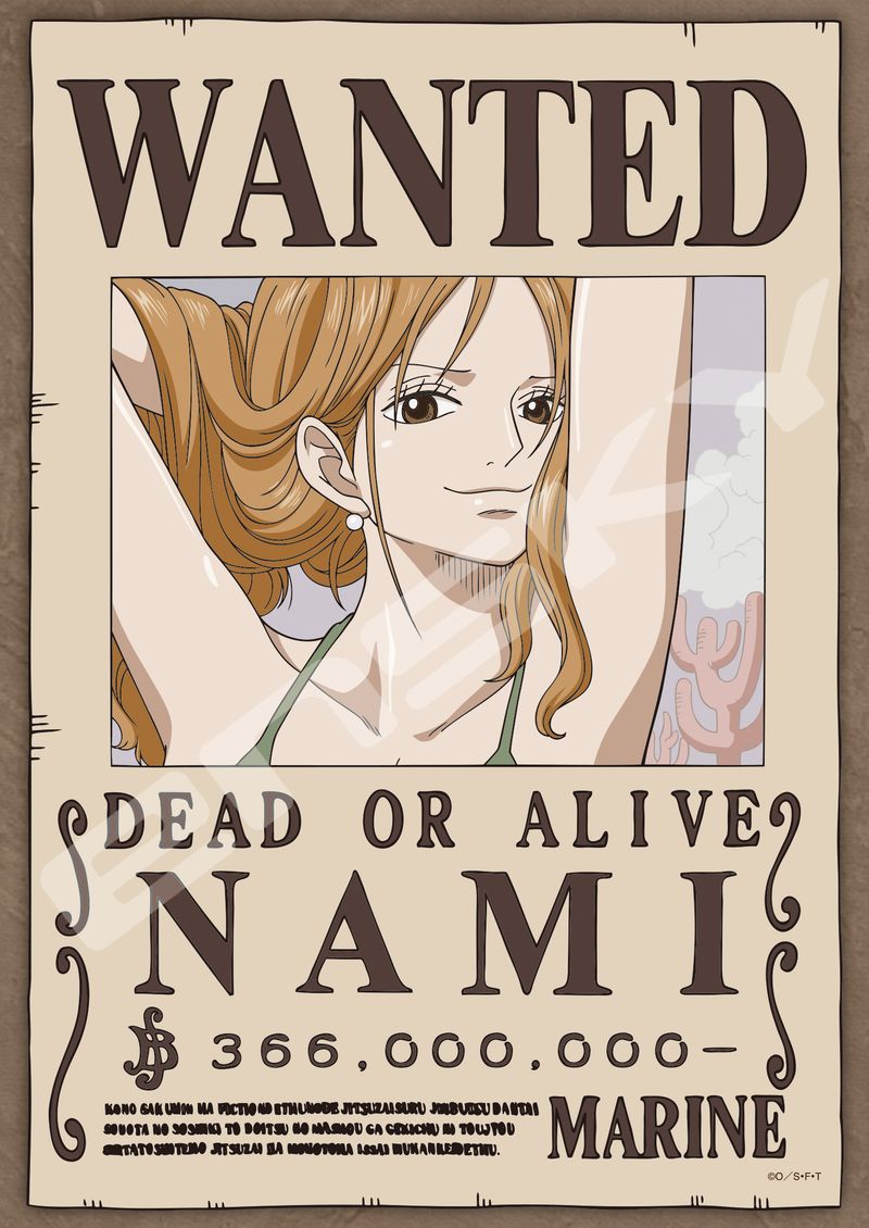 ワンピース_208-136 航海士泥棒猫 ナミ | ONE PIECE （ワンピース