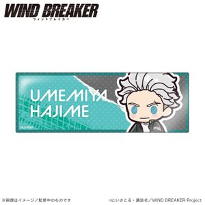 WIND BREAKER Long Pin Badge Stand Horizontal type_Umemiya Ichi (Puchikyun Series) [Colleize Pre-sale Item]