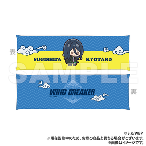 WIND BREAKER Armrest - Kyotaro Sugishita (Puchikyun Series) [Colleize Pre-sale Item]