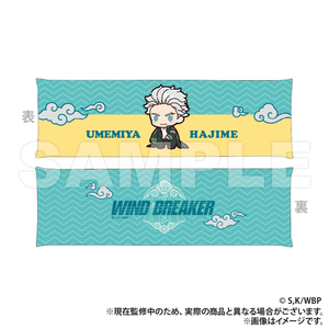 WIND BREAKER Armrest - Ichi Umemiya (Puchikyun Series) [Colleize Pre-sale Item]