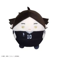 ハイキュー!!_HQ-54 ふわコロりん【BOX／6個入り】 | ハイキュー!!公式