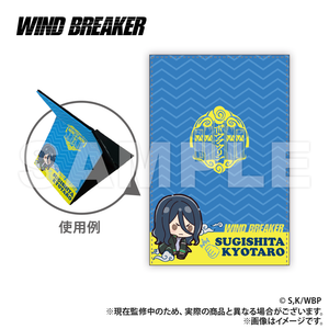 WIND BREAKER Leather Folding Mirror - Kyotaro Sugishita (Puchikyun Series) [Colleize Pre-Order Item]