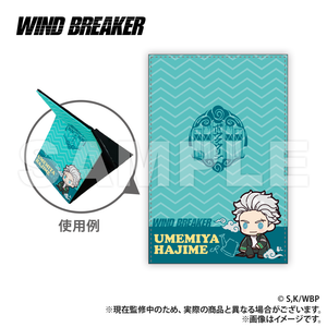 WIND BREAKER Leather Folding Mirror - Ichi Umemiya (Puchikyun Series) [Colleize Pre-Order Item]