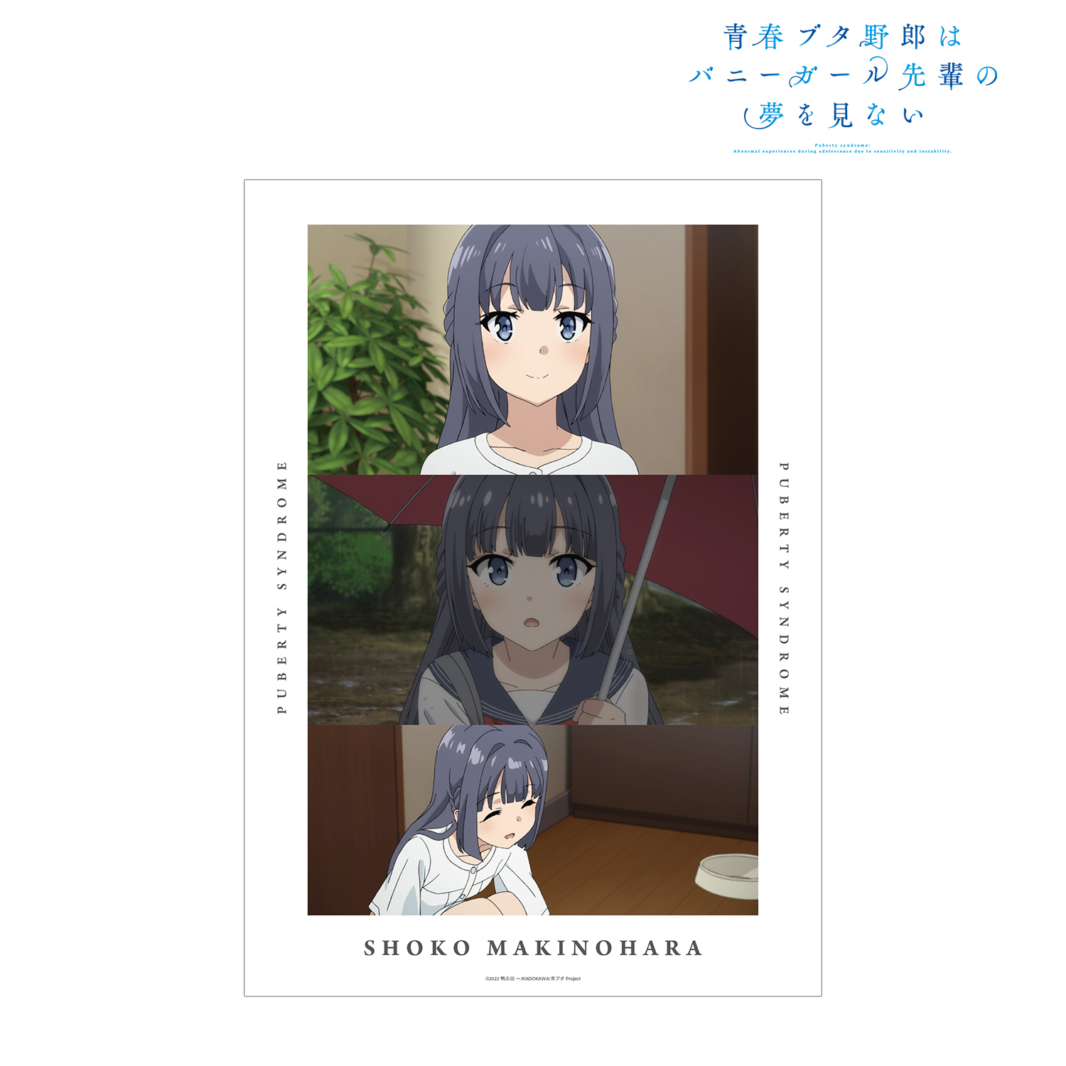新品、本物、当店在庫だから安心】 Amazon.co.jp: TV 青春ブタ