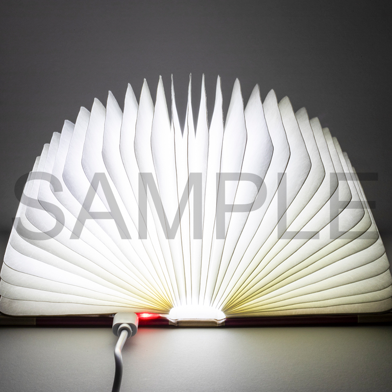 【即購入ok!!】魔導具師ダリヤはうつむかない BOOK型LEDライト 新品 即購入ok!!】魔導具師ダリヤはうつむかない BOOK型LEDライト