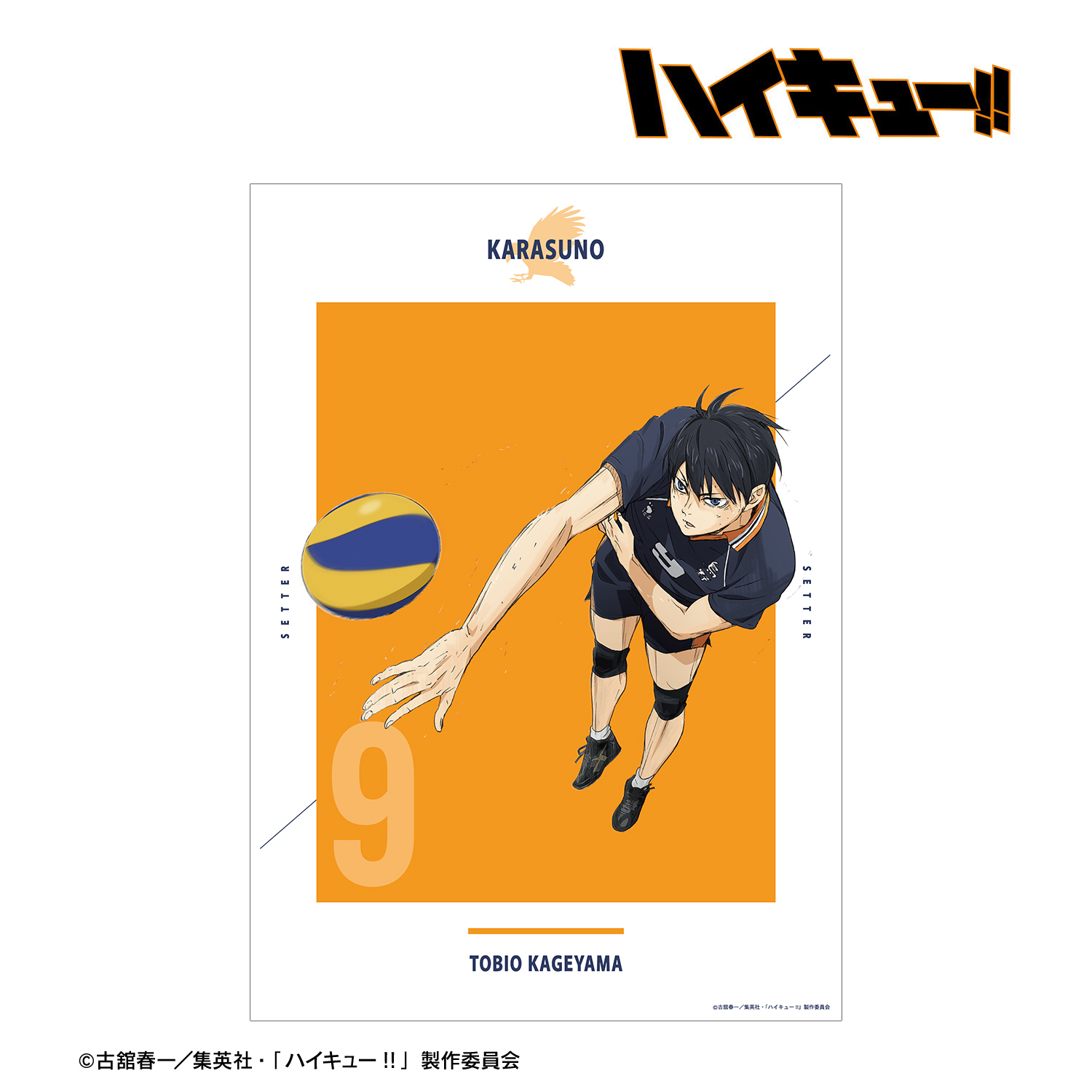 劇場版ハイキュー!! ゴミ捨て場の決戦_ 影山飛雄 A3マット加工ポスター