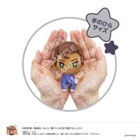 新テニスの王子様_おきがえぬいぐるみミニ（30 平古場 凛） | 新テニス