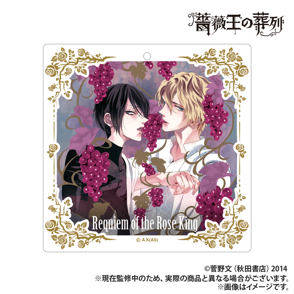 薔薇の葬列　希少品 ALICE and the PIRATES 薔薇の葬列宵闇に咲くアリア JSK（ALICE