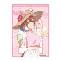 劇場版 ウマ娘 プリティーダービー 新時代の扉_ホロアクリルアート