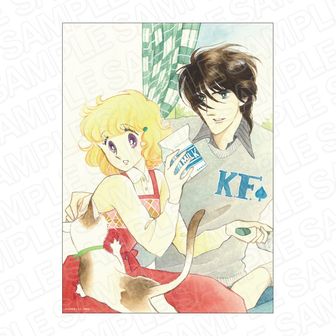 漫画 ひかわきょうこ作品10冊セット Amazon.co.jp: 彼方から 全7巻 完結セット(白泉社文庫) : ひかわ