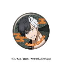WIND BREAKER_ラメキラカンバッジコレクション 【コンプリートBOX／6個