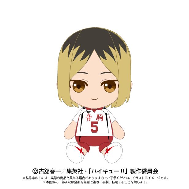 ハイキュー！！ 孤爪研磨 グッズ まとめ売りアクスタ 缶バッジ ぬいぐるみ 色紙 新品 ハイキュー！！ 孤爪研磨 グッズセット ぬいぐるみ 缶バッジ