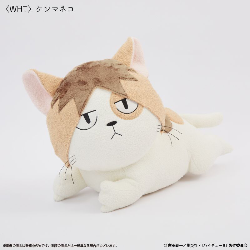 Palude ハイキュー!! 孤爪研磨　ケンマネコ　ぬいぐるみ　クッション ハイキュー!!_〈ケンマネコ〉クッション | ハイキュー!!公式グッズ