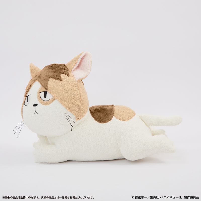ハイキュー!!_〈ケンマネコ〉クッション | ハイキュー!!公式グッズ