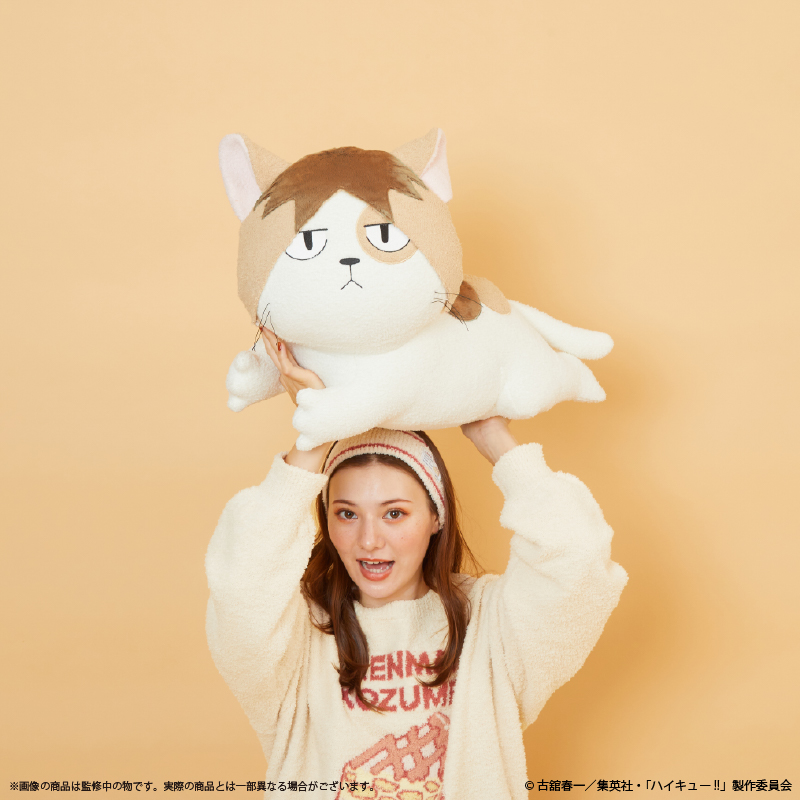 ハイキュー!!　ケンマネコのお昼寝クッション　ぬいぐるみ アニメ『ハイキュー!!』新商品情報＊ 3月8日(金)発売 ［ハイキュー