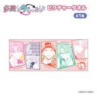 多聞くん今どっち!?_ピクチャータオル 多聞くん見守り隊 | 多聞くん今