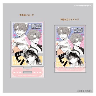 多聞くん今どっち！？ | 公式グッズ・公式ライセンス商品専門