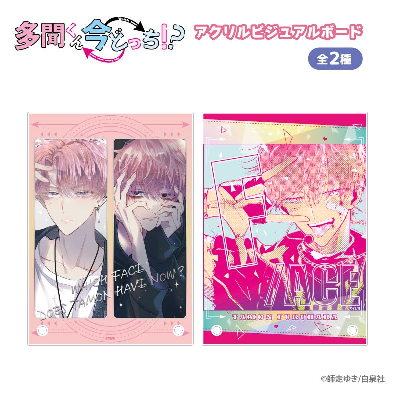 多聞くん今どっち！？　紀伊國屋　アクリルビジュアルボード　多聞A 福原多聞 多聞くん今どっち!?_アクリルビジュアルボード 多聞B | 多聞くん今