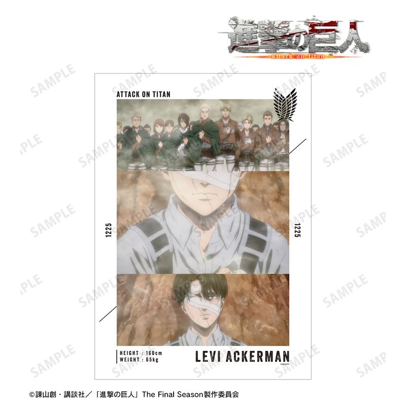 進撃の巨人_リヴァイ 場面写A3マット加工ポスター vol.3 | 進撃の巨人