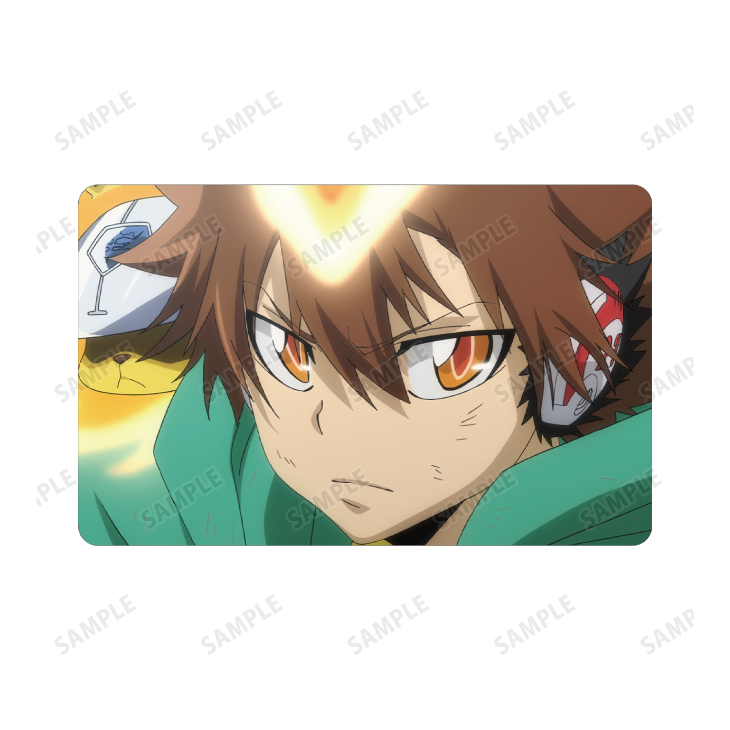 希少 プレミアムカラー 沢田綱吉 リアルペイントシート カード リボーン 希少 プレミアムカラー 沢田綱吉 リアルペイントシート カード