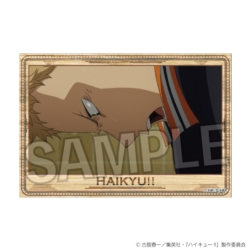 ハイキュー!!_スタパネ ミニ vol.6　29