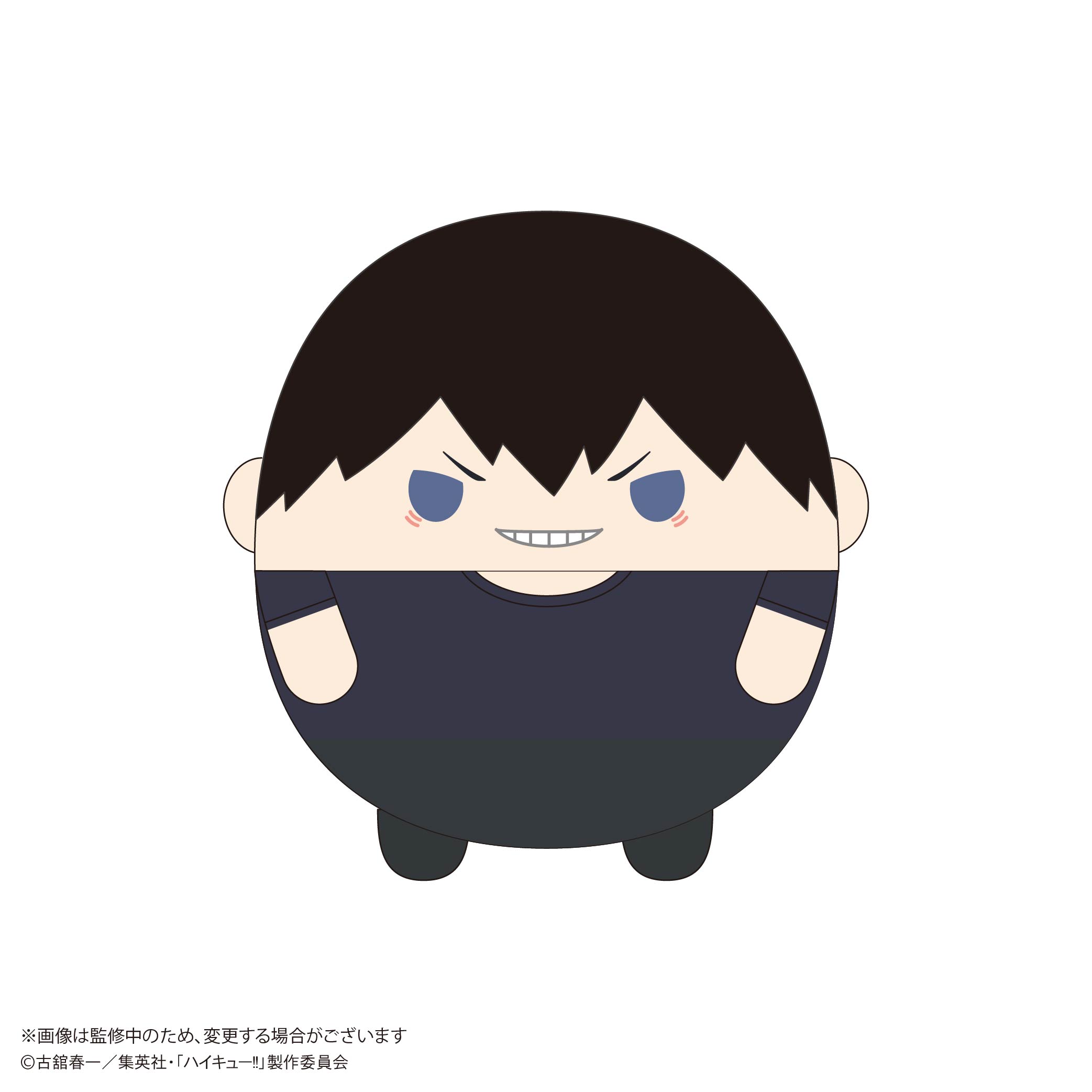 影山 飛 雄 公式】COSPA ハイキュー!! 缶バッジ 影山飛雄 Ver.3.0 20個