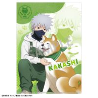 NARUTO-ナルト- 疾風伝_A4シングルクリアファイル はたけカカシ/少年期