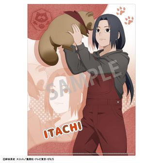 NARUTO疾風伝 非売品 疾風検定 激レア うちはイタチ クリアファイル NARUTO-ナルト- 疾風伝_A4シングルクリアファイル うちはイタチ/少年期