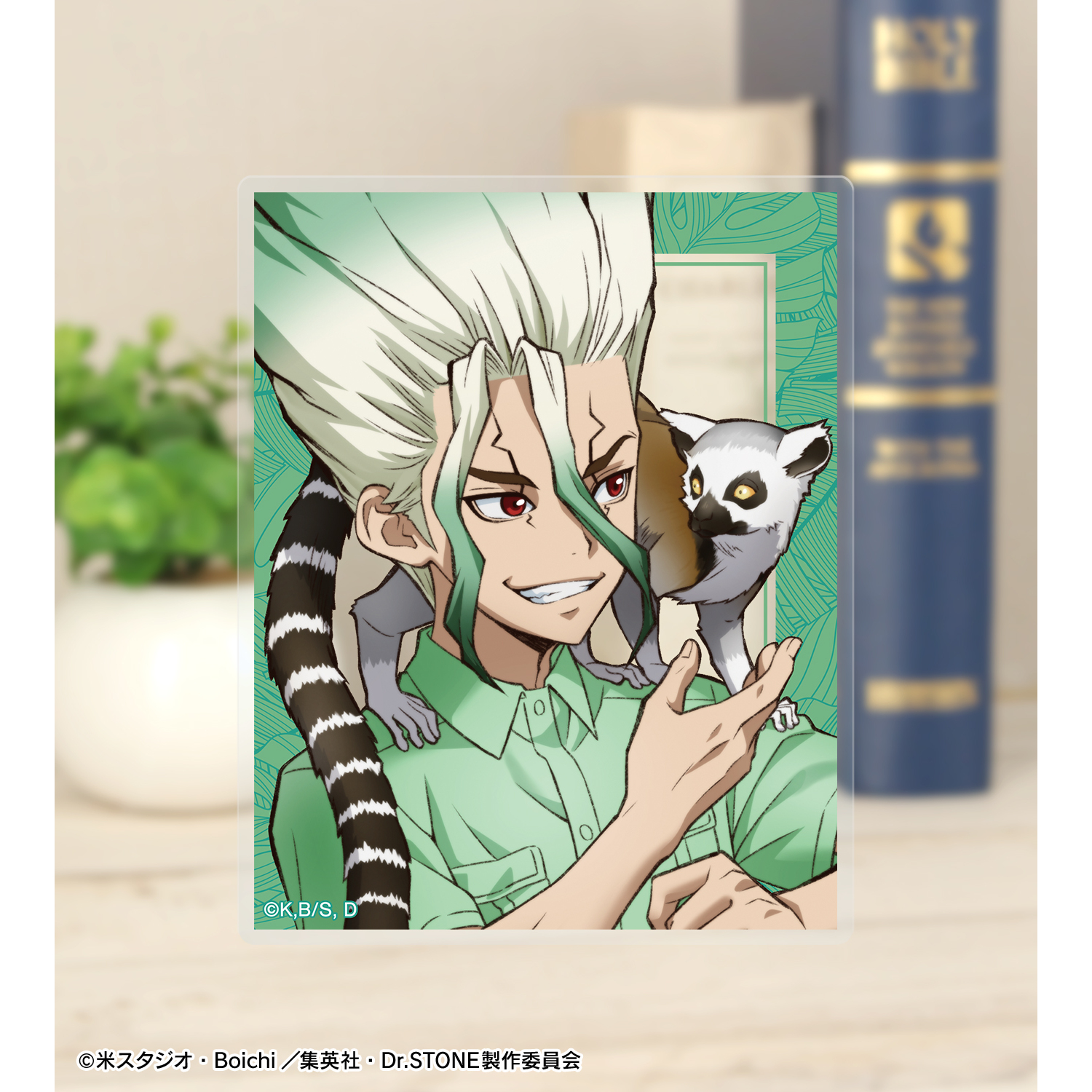 Dr.STONE_描き下ろし 飼育係ver. トレーディングアクリルカード