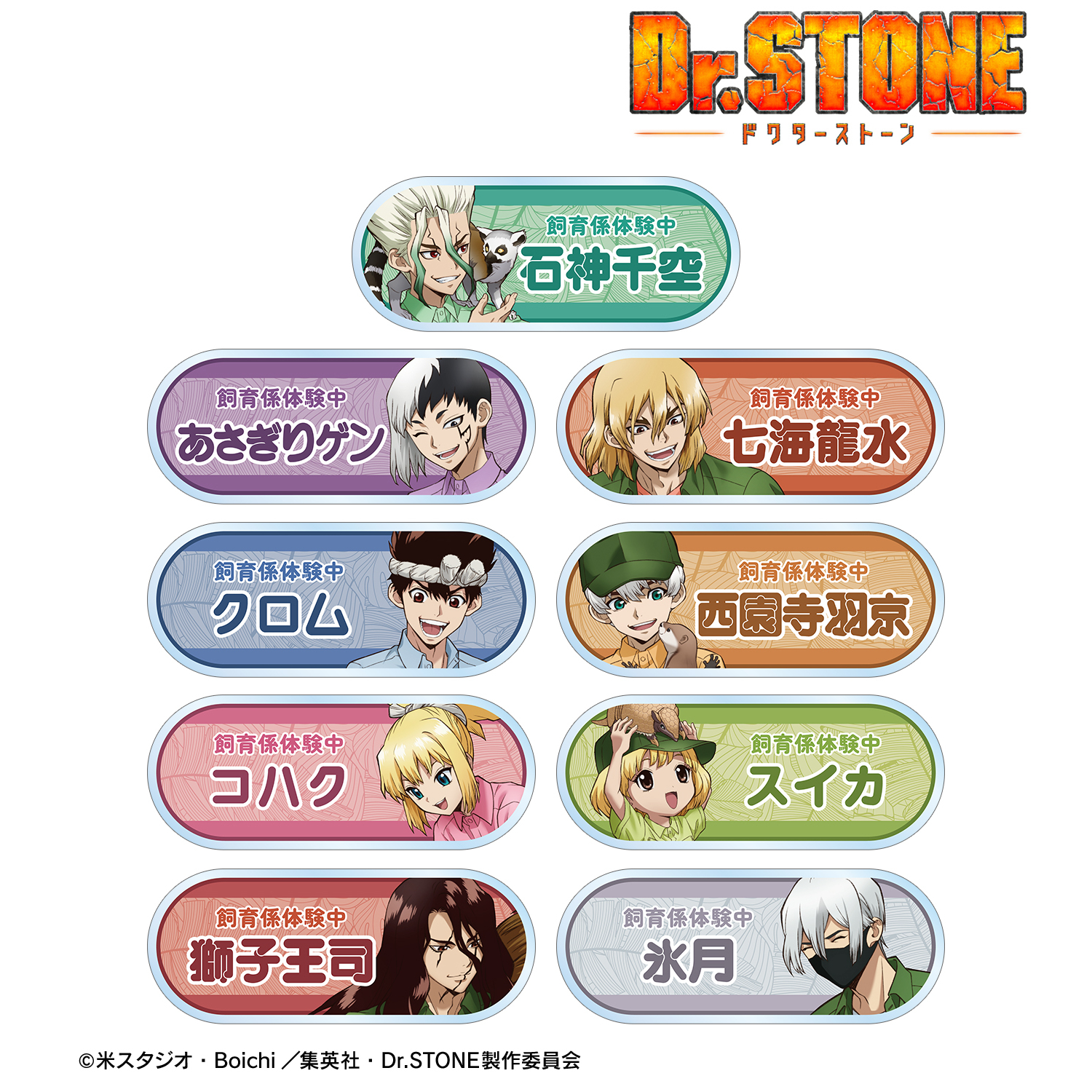 Dr.STONE_描き下ろし 飼育係ver. トレーディングアクリルネームプレート(単位/コンプリートBOX／9パック入り)