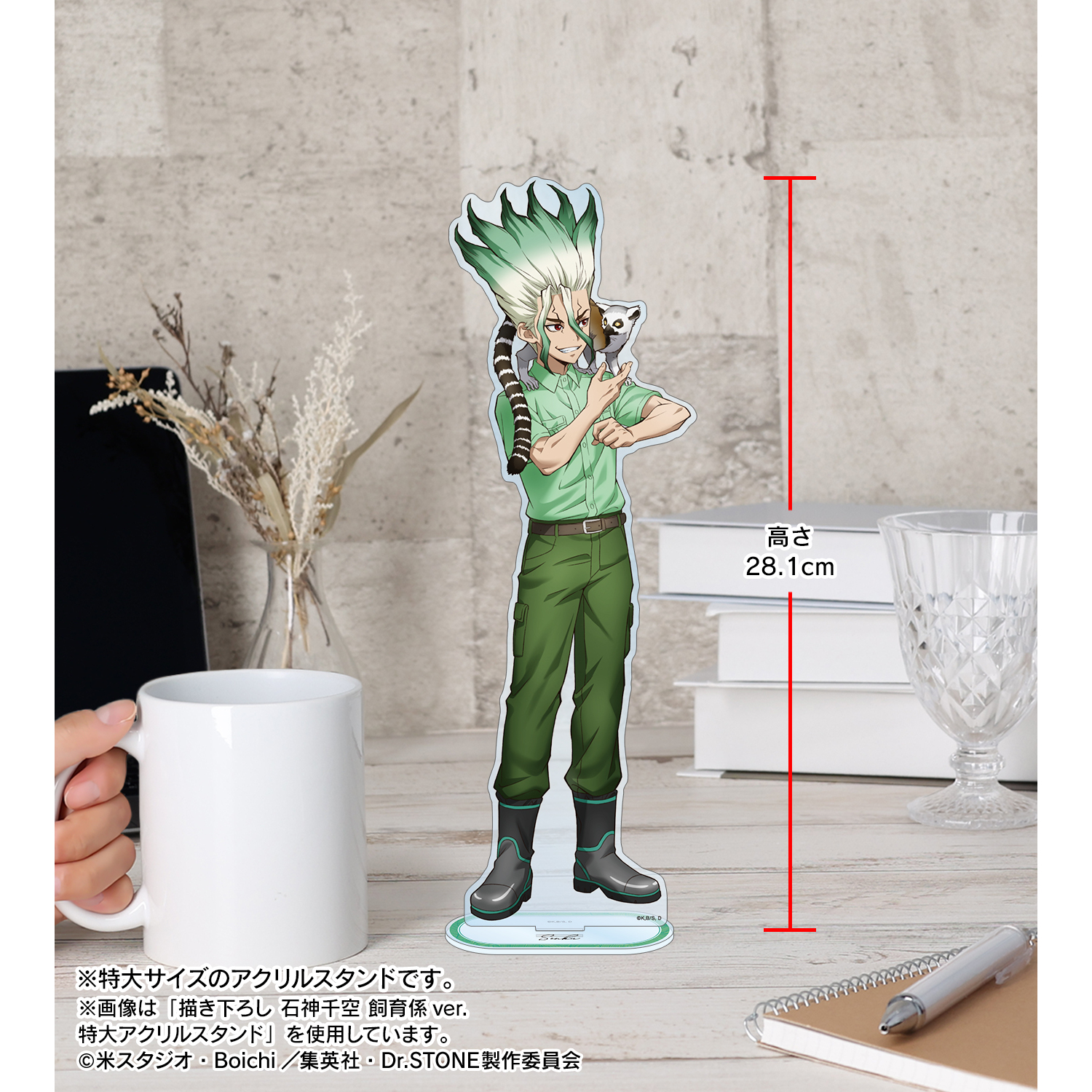 Dr.STONE あさぎりゲン アクリルスタンド 猫といっしょ アクスタDr