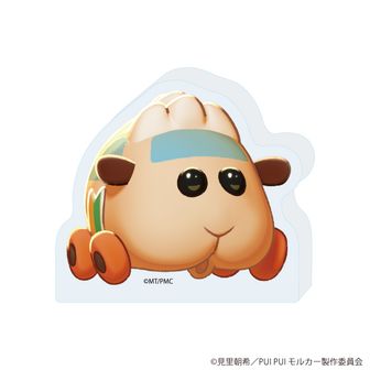 PUI PUI モルカー_シールコレクション2 1BOX | 公式グッズ・公式
