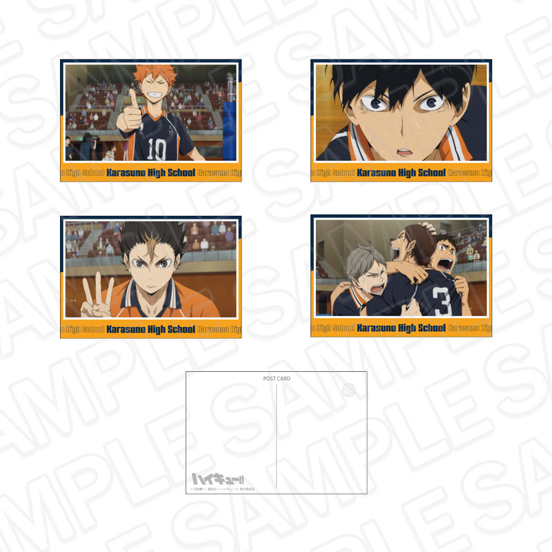 ハイキュー!!_ポストカードセット 烏野高校 C