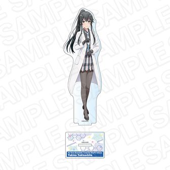 やはり俺の青春ラブコメはまちがっている。完_ほぼ等身大