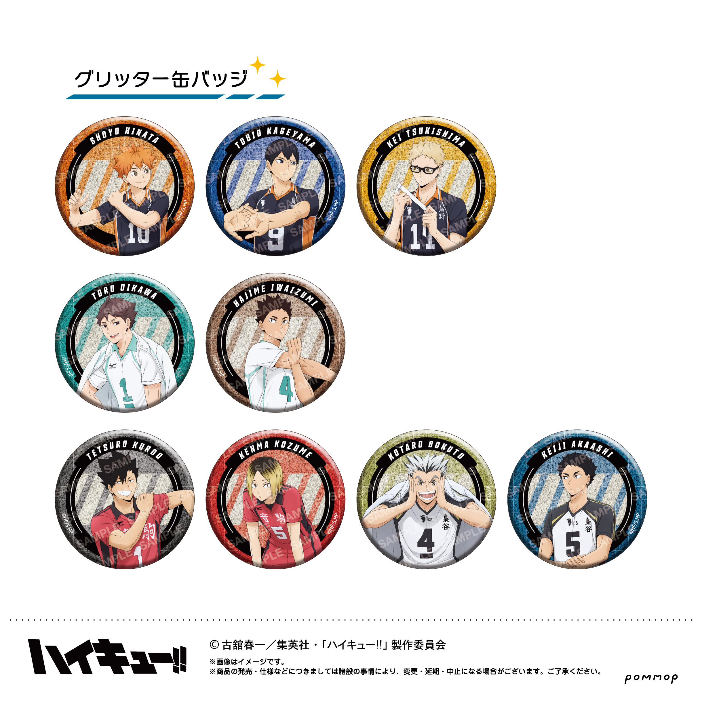 ハイキュー 65mm 缶バッジ シリーズ Ver.1.0 未開封 16個 セット