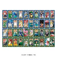魔法騎士レイアース_アルカナカードコレクション 【BOX／14パック入り