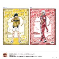新テニスの王子様_クリアファイル-おきがえぬいといっしょ第3弾-（D