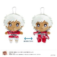 新テニスの王子様_おきがえぬいぐるみといっしょセット第3弾（H 種ヶ島