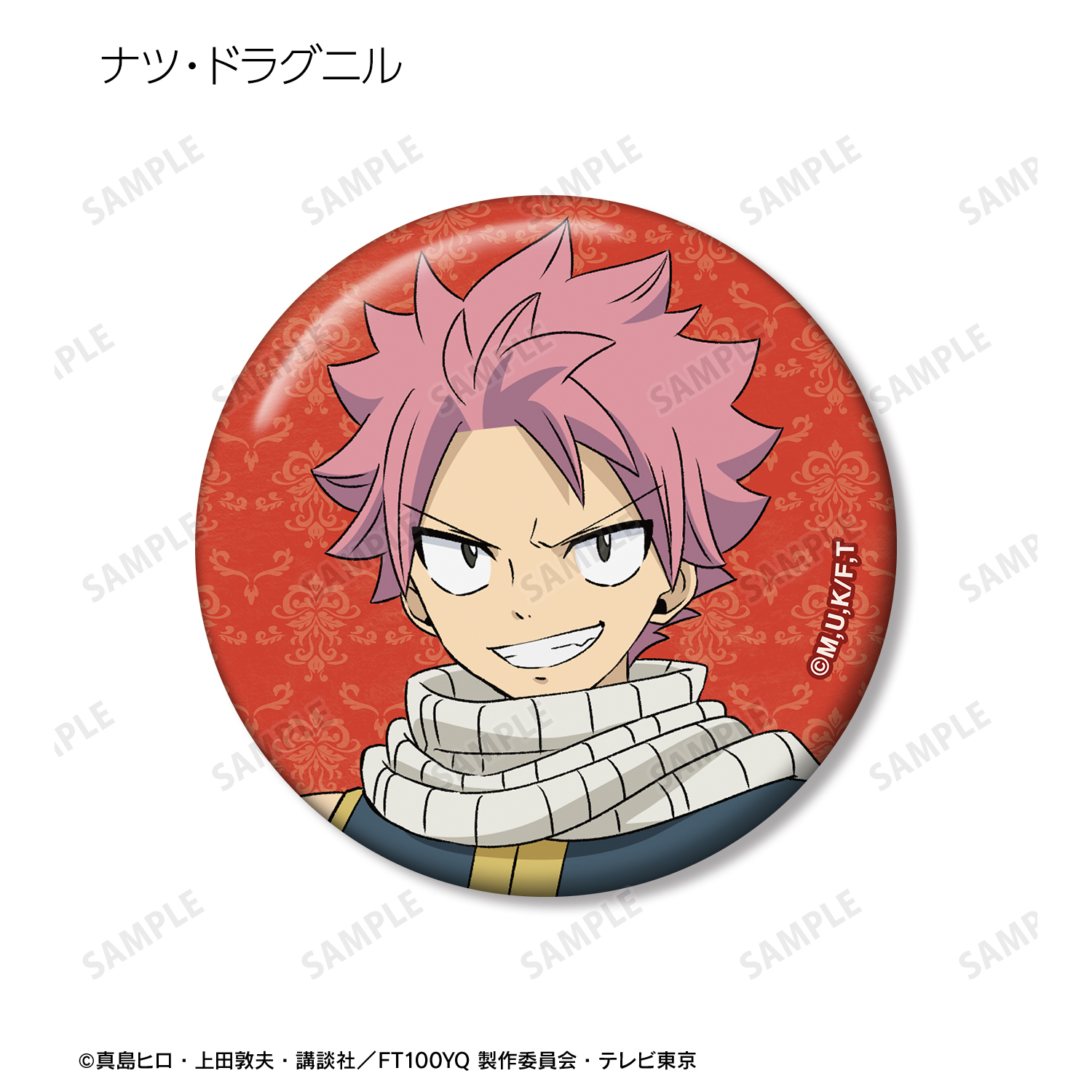 FAIRY TAIL 100年クエスト_トレーディング缶バッジ(単位