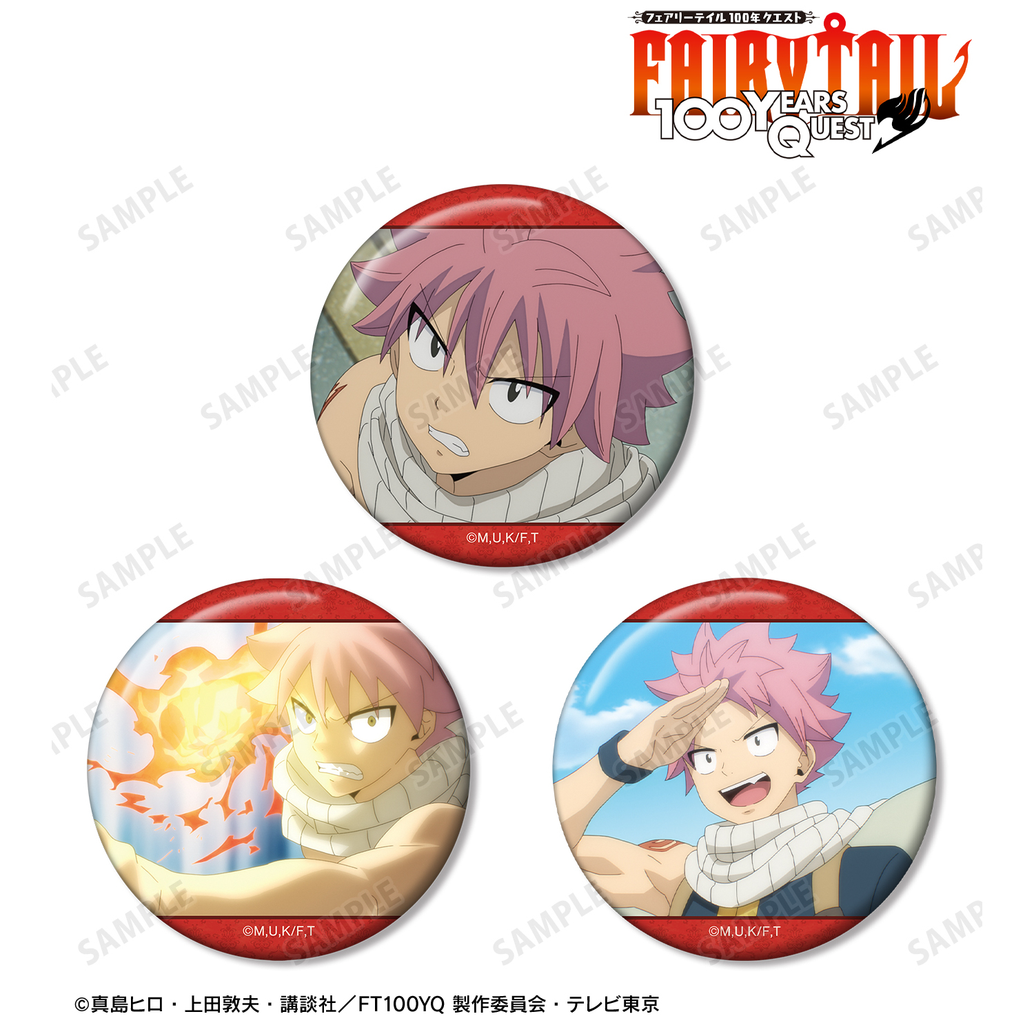 FAIRY TAIL 100年クエスト_ナツ・ドラグニル 場面写缶バッジ3個セット