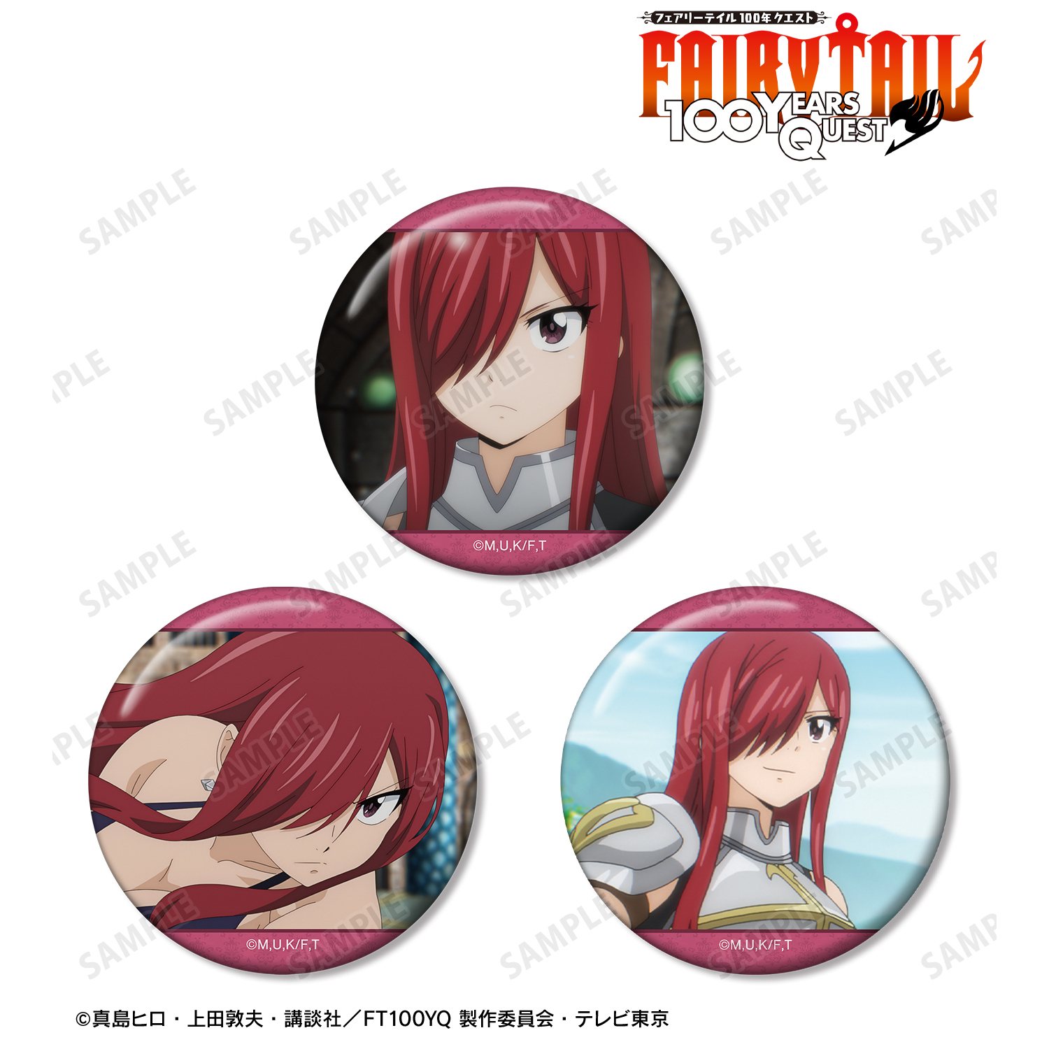 FAIRY TAIL 100年クエスト_エルザ・スカーレット 場面写缶バッジ3個セット