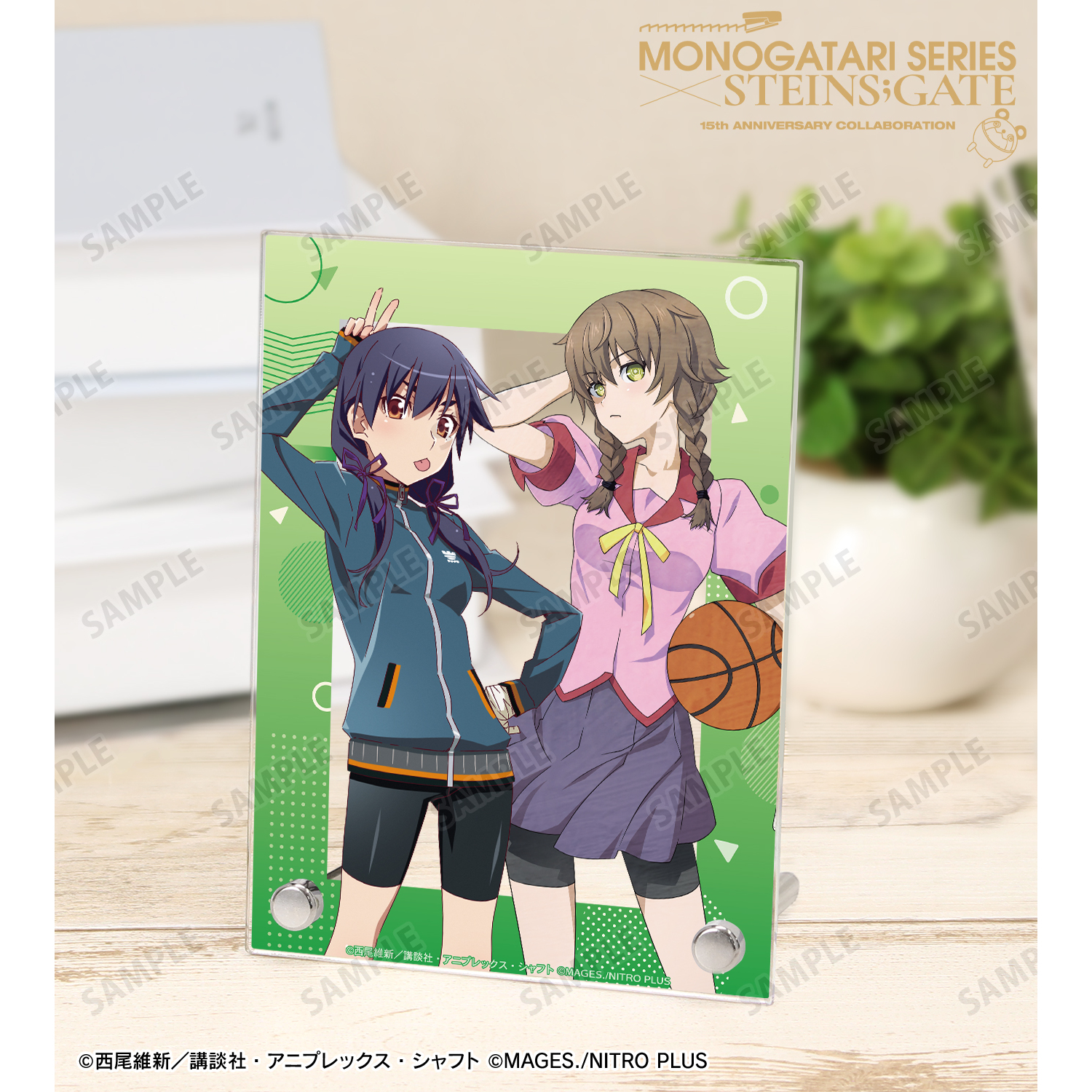 物語シリーズ×STEINS;GATE_描き下ろし 神原駿河&阿万音鈴羽 コラボイラストver. A6アクリルパネル