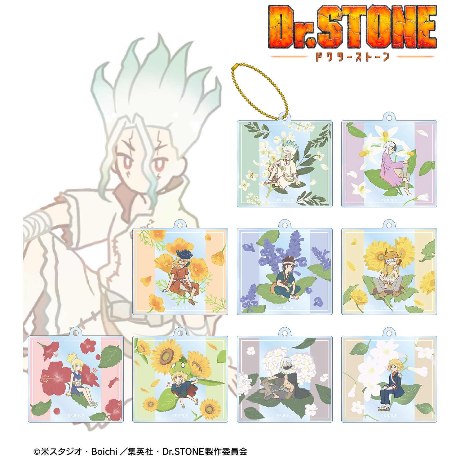 Dr.STONE_トレーディング Botania アクリルキーホルダー(単位/コンプリートBOX)【BOX/9パック入り】