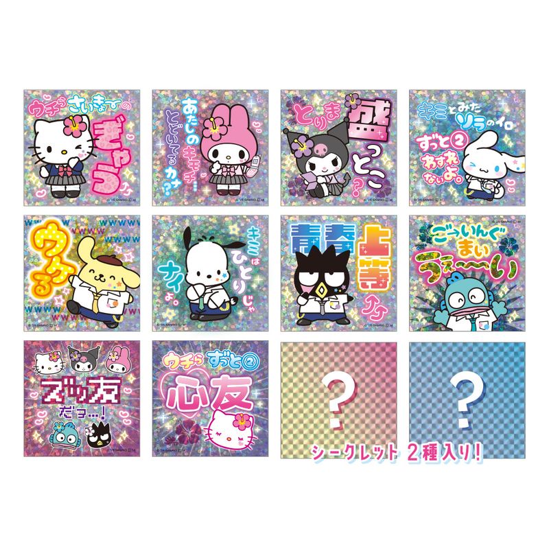サンリオキャラクターズ_シークレットホログラムステッカー Y2K【BOX