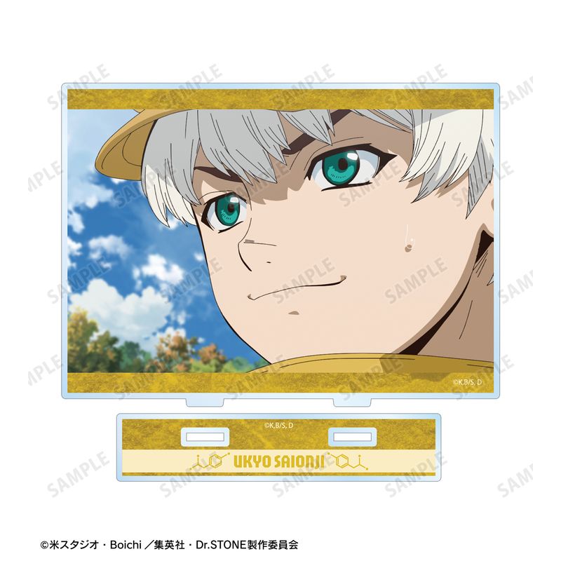 Dr.STONE_西園寺羽京 場面写BIGアクリルスタンド | Dr.STONE（ドクター