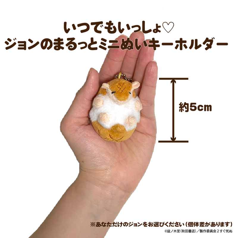 吸血鬼すぐ死ぬ_いつでもいっしょ♡ジョンのまるっとミニぬい